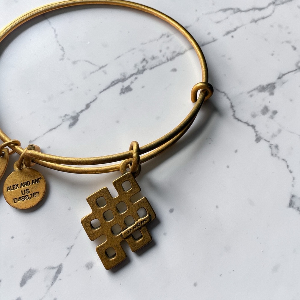 NWT Alex and Ani Endless Knot Charm Bangle Bracelet Rafaelian Gold Expandable - Picture 7 of 8